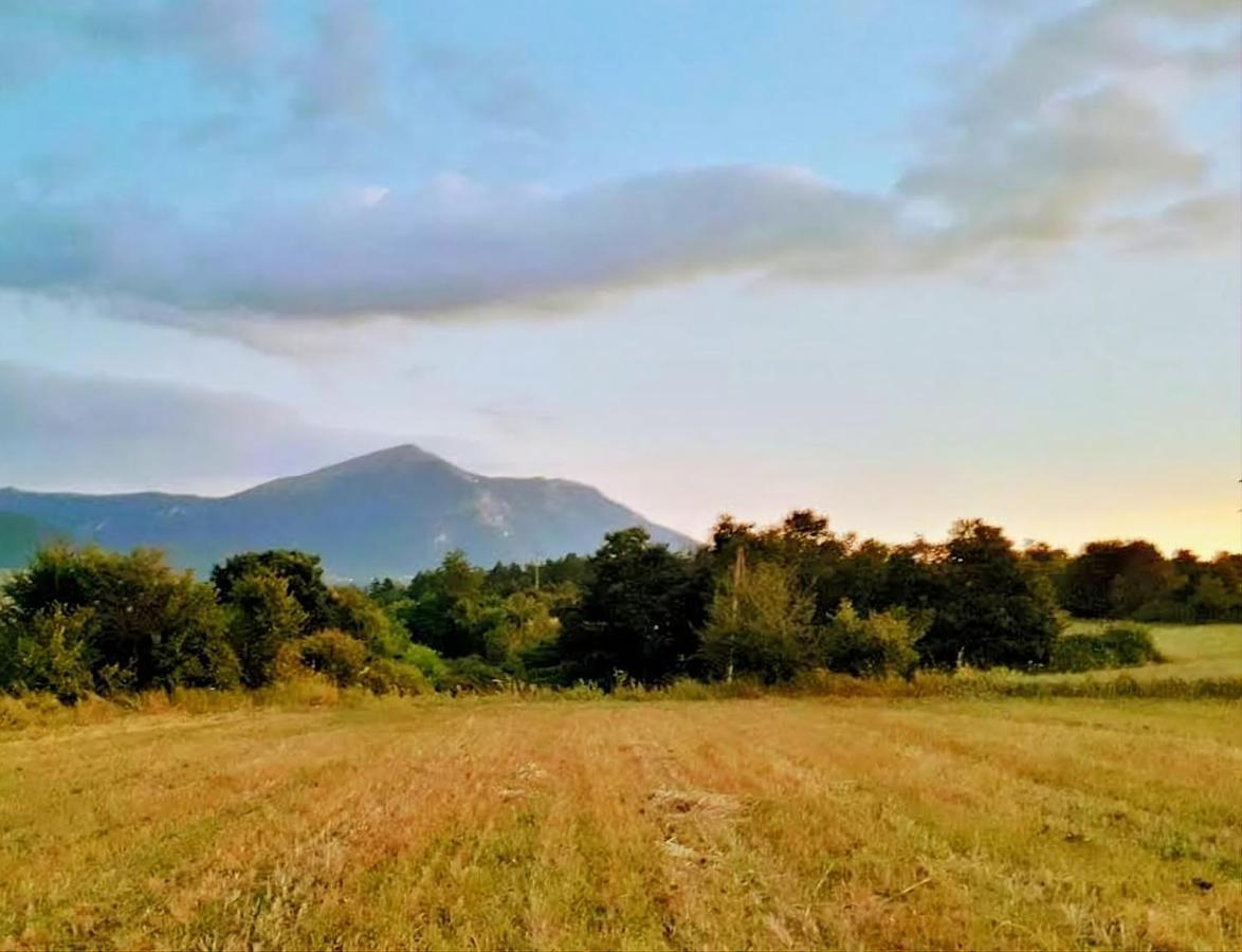 Villa Saturea Boljevac Kültér fotó