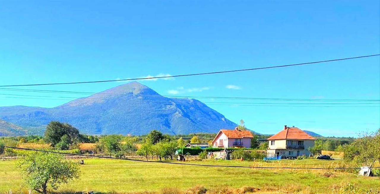 Villa Saturea Boljevac Kültér fotó