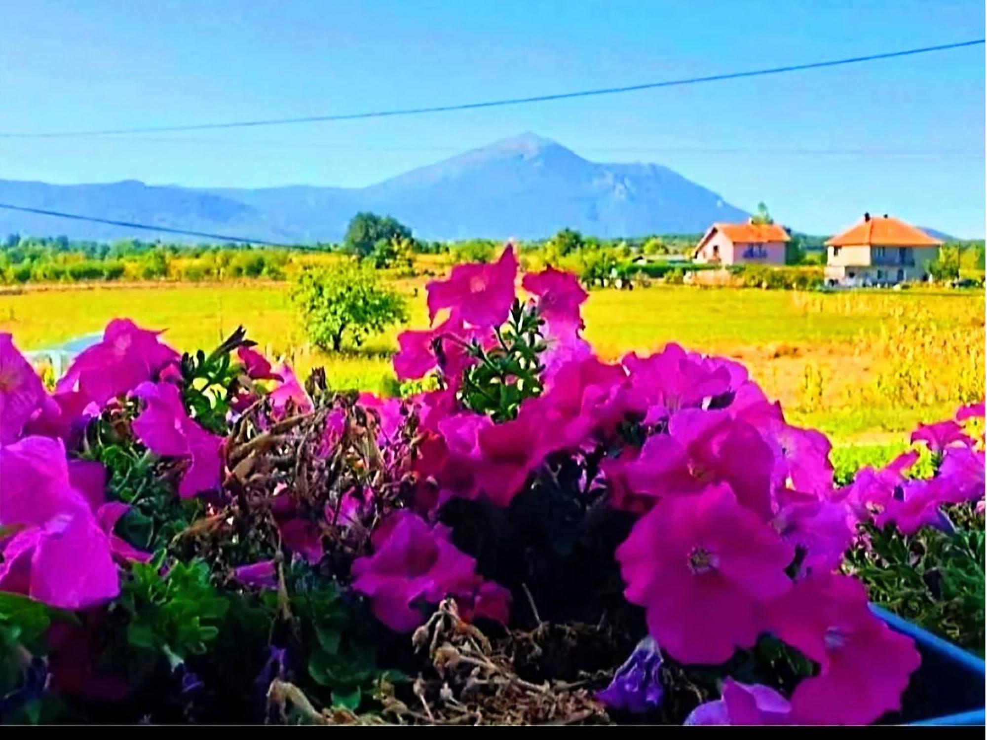 Villa Saturea Boljevac Kültér fotó